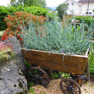 115_1302_JPG-1341098076