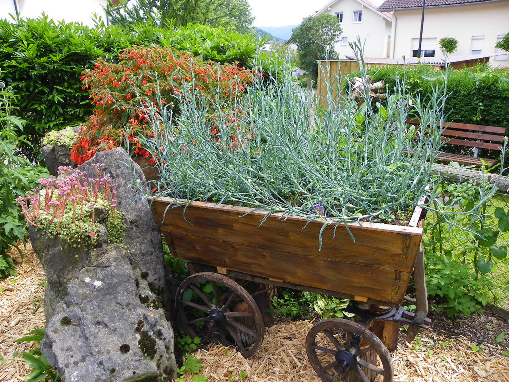 115_1302_JPG-1341098076