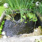 115_1354_JPG-1341098654