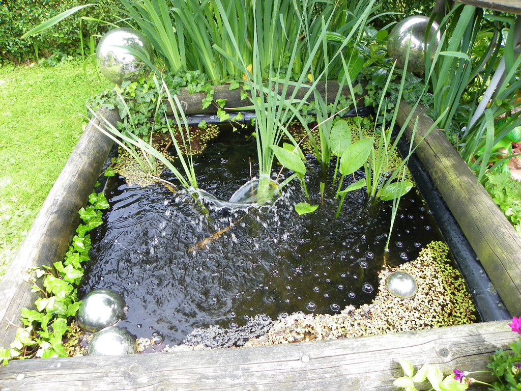 115_1354_JPG-1341098654