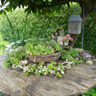 115_1355_JPG-1341098660