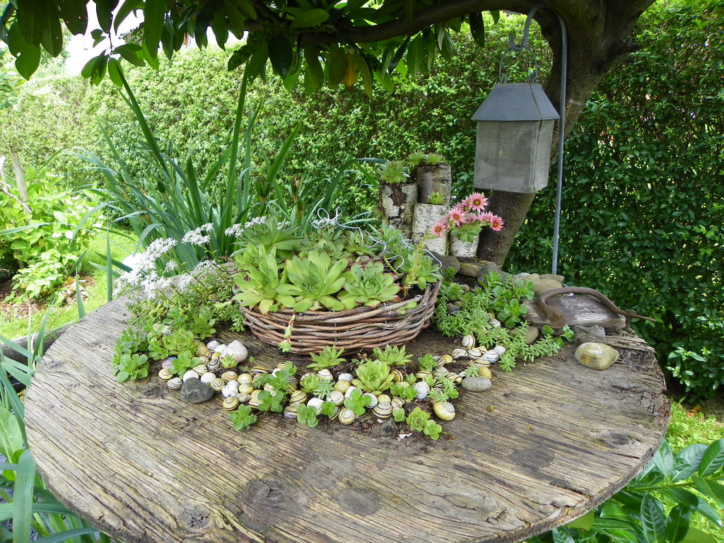 115_1355_JPG-1341098660