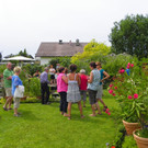 115_1356_JPG-1341098665