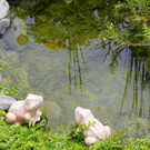 115_1358_JPG-1341098677