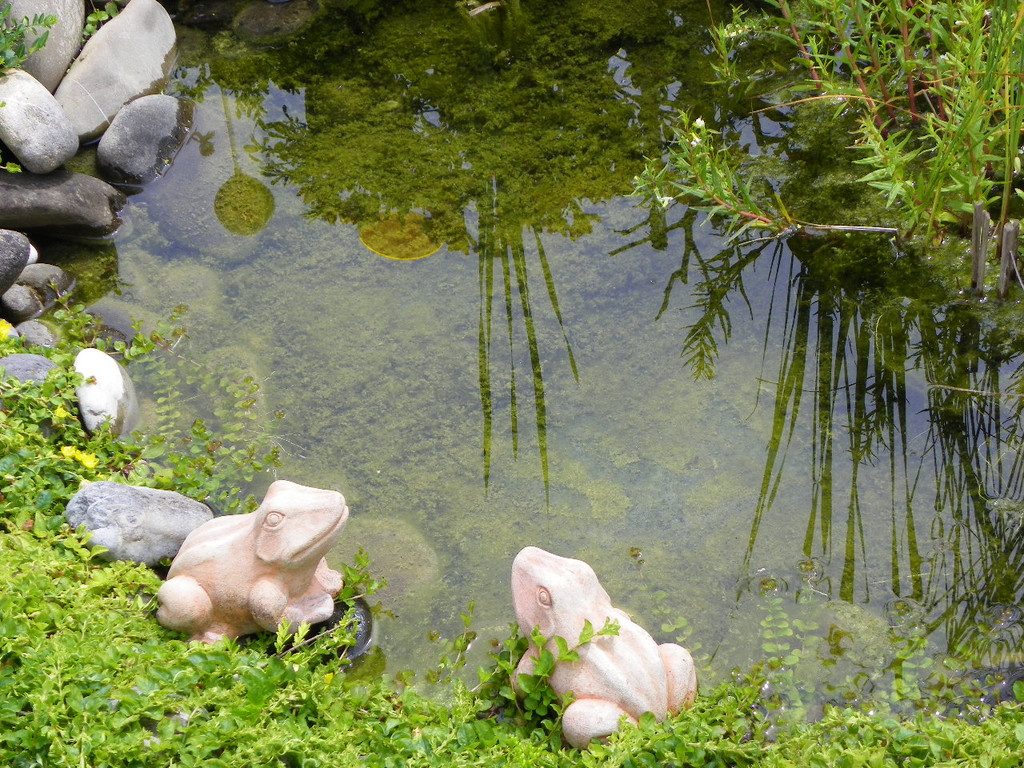 115_1358_JPG-1341098677