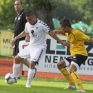 VB Dornb_ - Gall_ 2012 095.jpg