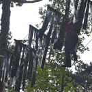 DSC_4916.jpg