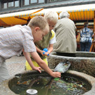 Pfarrfest Fu__ach 01-07-2012 115_jpg-1341151837