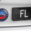 DSCN6271_JPG-1341158816