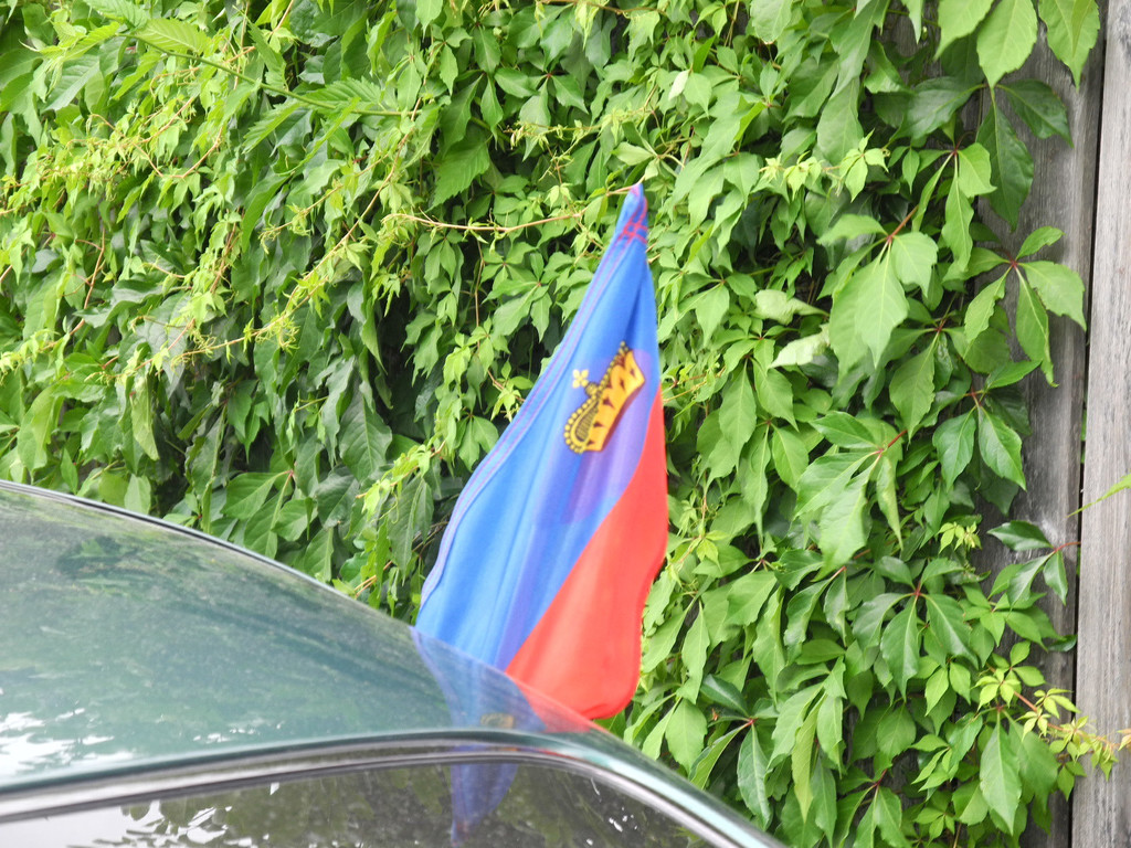 DSCN6276_JPG-1341158888