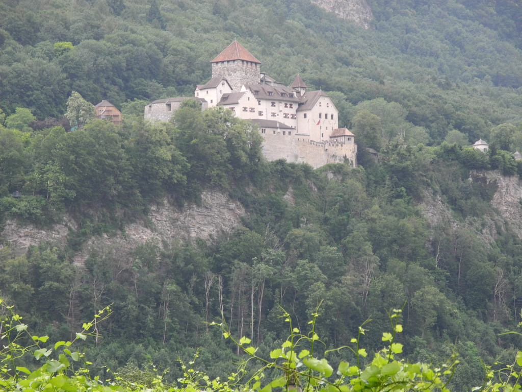 DSCN6274_JPG-1341158843