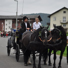 Umzug Musikfest Krumbach am 1_7_2012 029.jpg