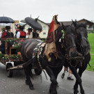 Umzug Musikfest Krumbach am 1_7_2012 042.jpg