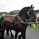 Umzug Musikfest Krumbach am 1_7_2012 054.jpg