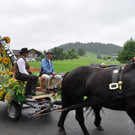 Umzug Musikfest Krumbach am 1_7_2012 060.jpg