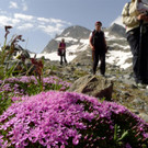 P1020574 _Large__JPG-1341203858