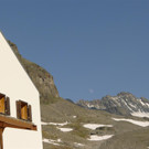 P1020452 _Large__JPG-1341203862