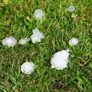normal_01072012fmt_hagelunwetter_mw_7.JPG