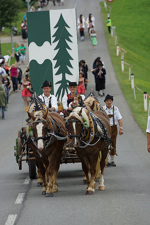 Krumbach Umzug 36.jpg