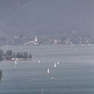 normal_01072012wolfgangseede01001_84.jpg