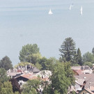 normal_01072012wolfgangseede01001_85.jpg
