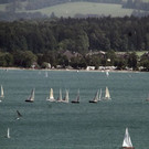 normal_01072012wolfgangseede01001_93.jpg