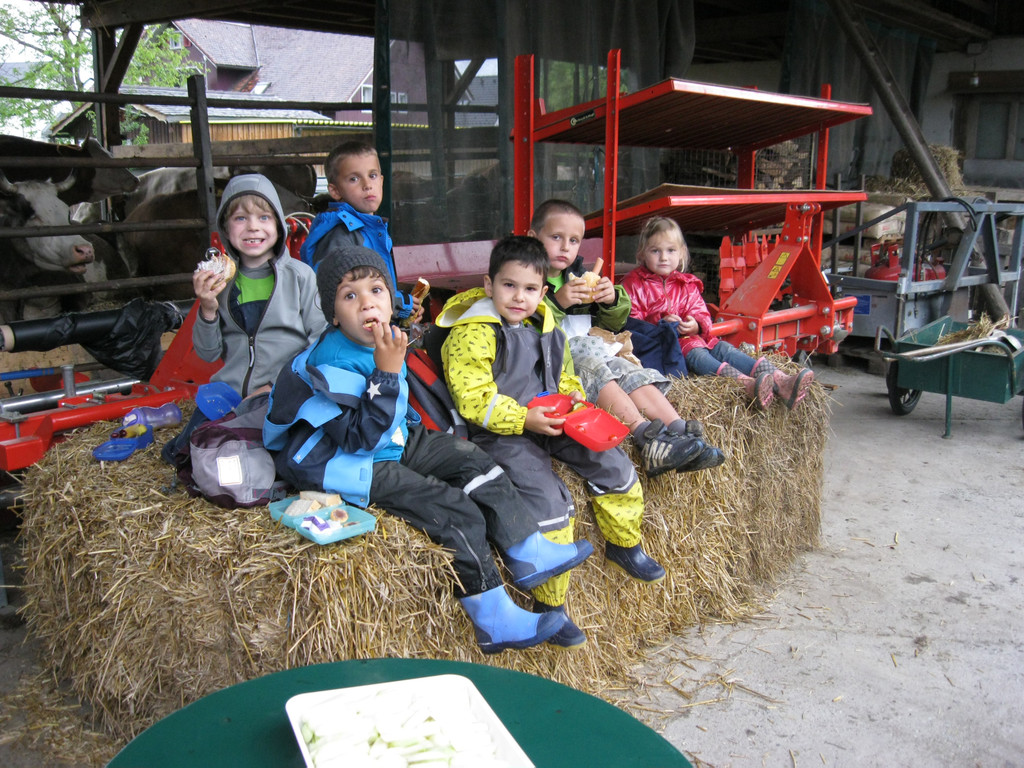 IMG_1868_JPG-1341215977