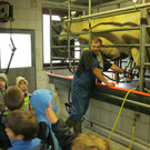 IMG_1878_JPG-1341216048