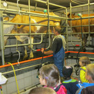 IMG_1884_JPG-1341216083