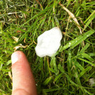 Mehr Bilder vom Unwetter