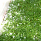 01072012hagelfreilde02001aktivnews _6_.jpg