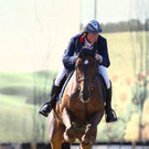 Reitsport vom Feinsten in Hard