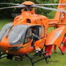 normal_10072012radde01003 _28_.JPG