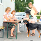 Hundemusterung in Fußach