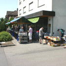IMG_2800.jpg