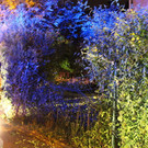 normal_02072012fmt_vuschmiedingerstr_mw_10.JPG