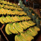 normal_03072012fmt_interspar_fm_36.JPG