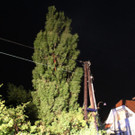 Baumbrand nach Blitz in Bad V__slau _1_.jpg