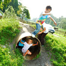 Naturpark A-Rhein 04-06_2012 1_jpg-1341417245