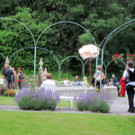 IMG_0891_JPG-1341447204