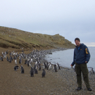 pinguine2.JPG