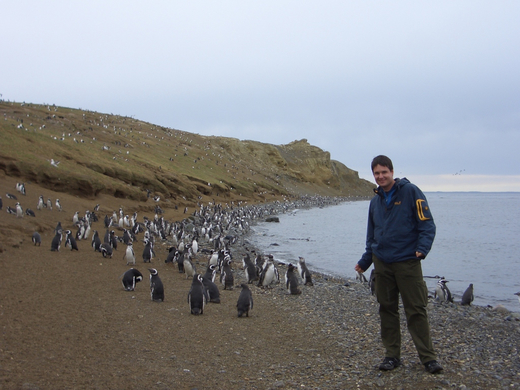pinguine2.JPG