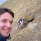 PinguineinPatagonien.JPG