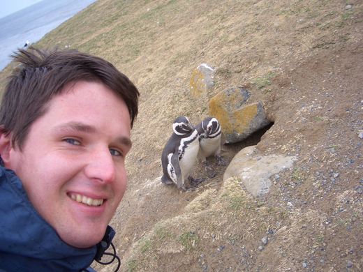 PinguineinPatagonien.JPG