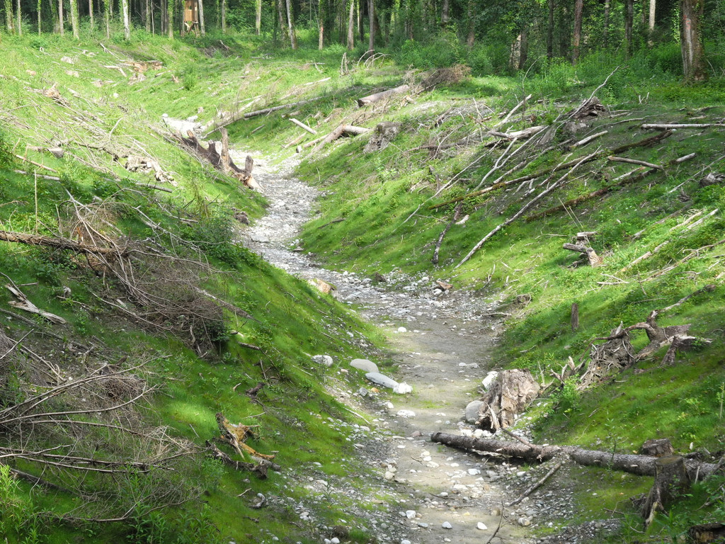 DSCN5776_JPG-1341477566