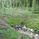 DSCN5777_JPG-1341477627