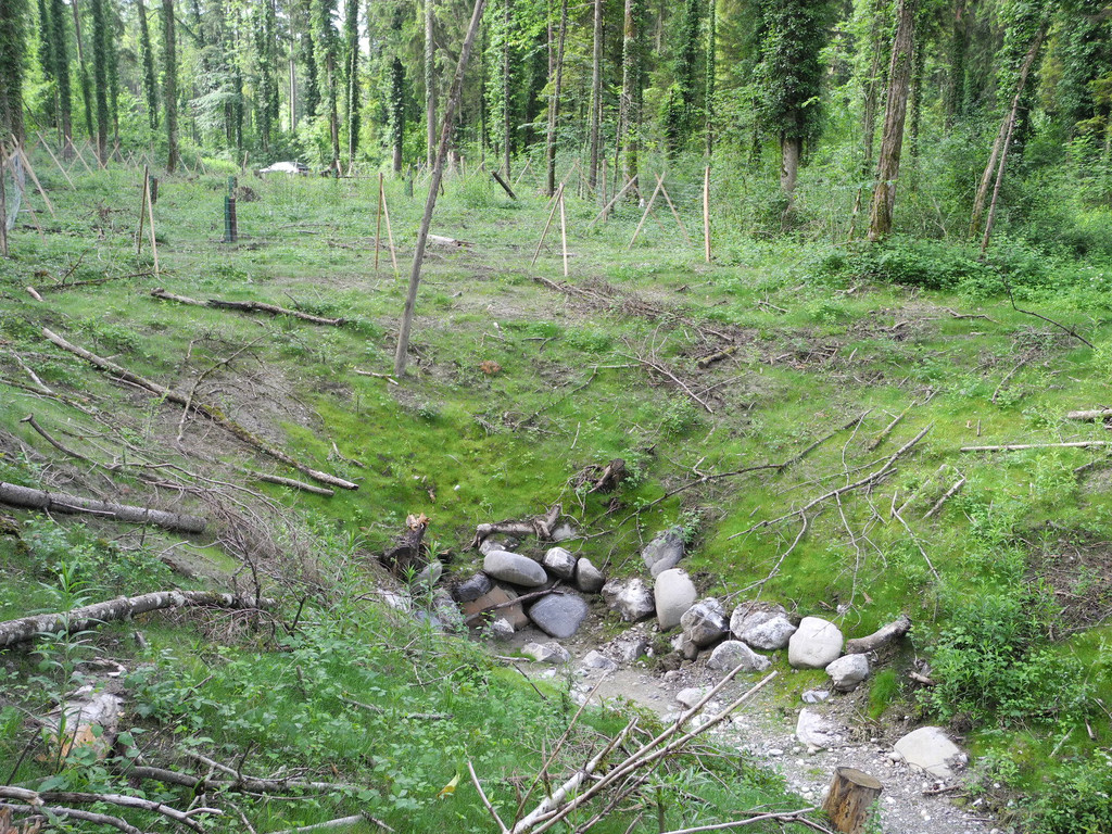 DSCN5777_JPG-1341477627