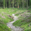 DSCN5778_JPG-1341477659