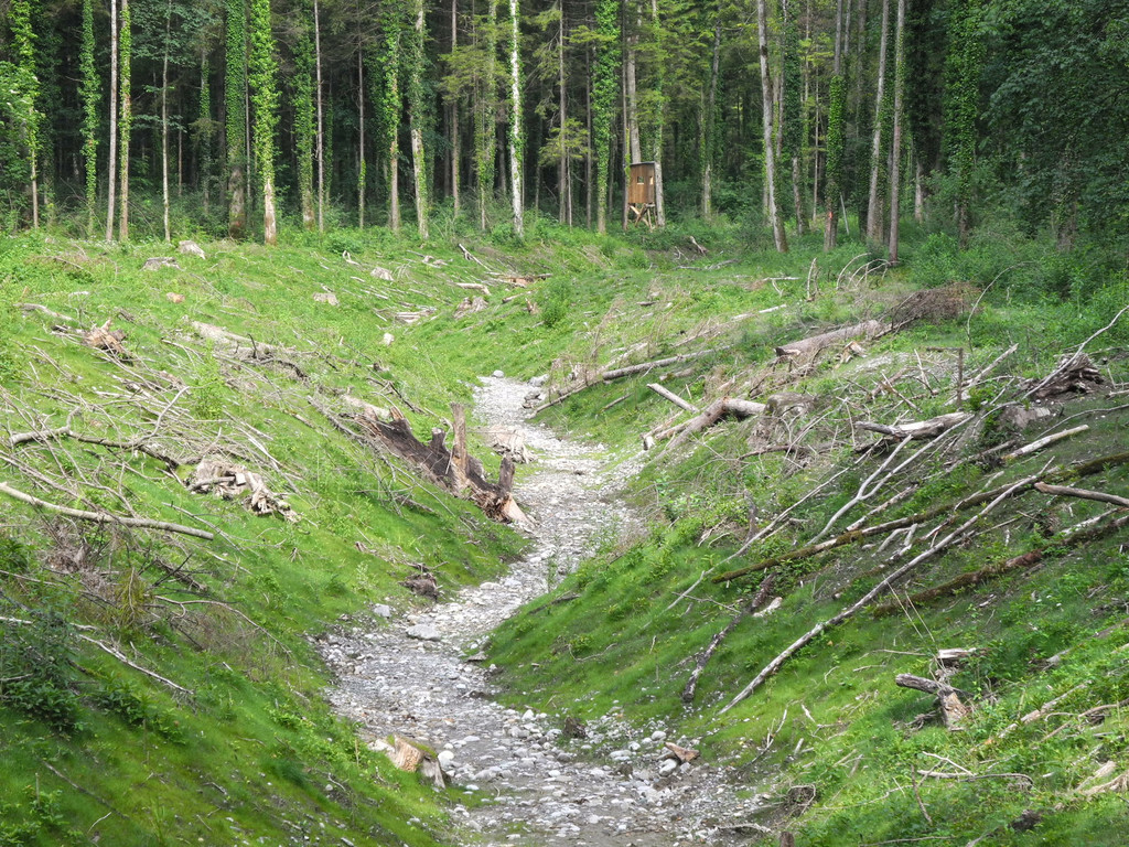 DSCN5778_JPG-1341477659