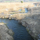 DSCN1261_jpg-1341477283